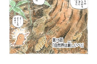 第１５話 「自然界は厳しいべ！」 표지