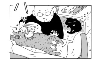 Ｖｏｌ．４５ 표지