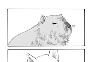 第１３３話 動物は恩を忘れない 표지