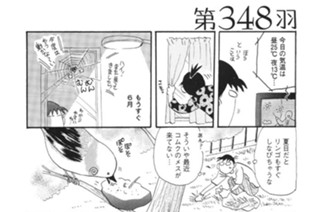 第３４８羽 표지