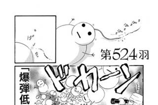 第５２４羽 표지