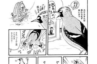 第４７９羽 표지