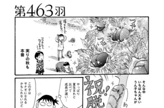第４６３羽 표지