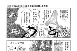 第８４９羽 표지