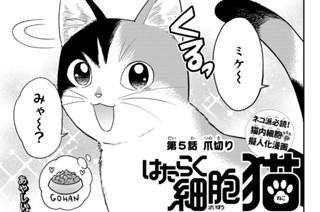 【第5話】 爪切り 표지
