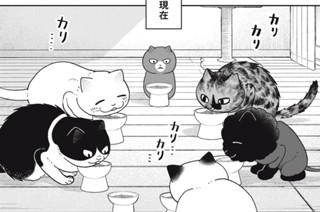 第３９話 グレコの次のごはん 표지