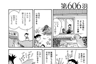 第６０６羽 표지