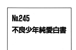不良少年純愛白書 표지