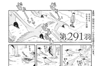 第２９１羽 표지