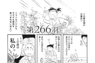第２６６羽 표지