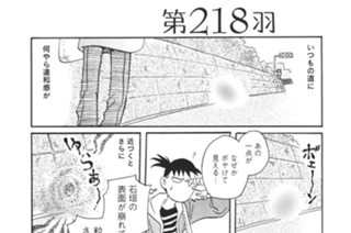 第２１８羽 표지