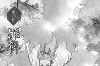 第１４回 罪科 표지