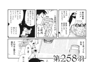 第２５８羽 표지