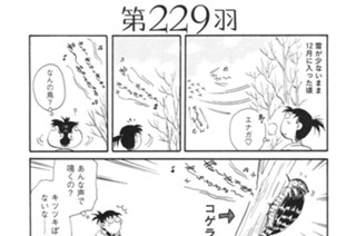 第２２９羽 표지