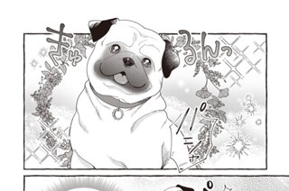 第46話 표지