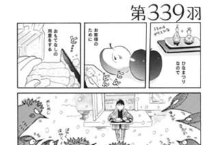 第３３９羽 표지