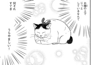 その１２ 표지