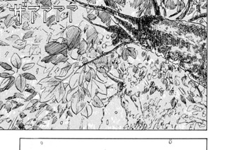 13화 １３．銀ギツネの実験は 표지