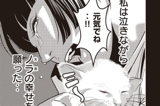 第３８話 NORA 표지
