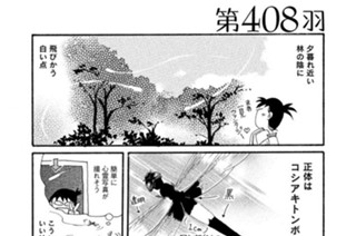 第４０８羽 표지