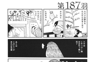 第１８７羽 표지