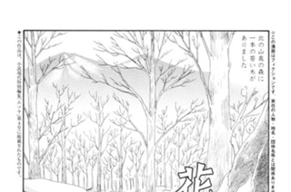花 표지