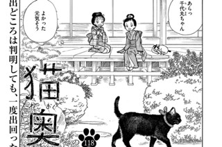 その１１８ 표지