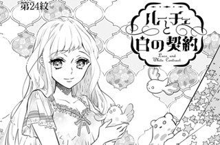 第24紋(1) 표지