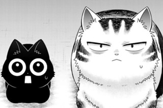 第１３話 台風が、もってきたもの 표지