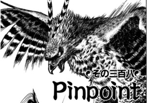 その三百八 Ｐｉｎｐｏｉｎｔ ｒｕｓｈ 표지