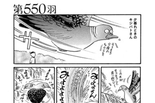 第５５０羽 표지