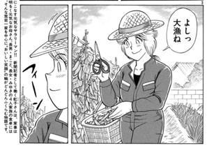初夏の収穫 グリーンパエリア！ 표지
