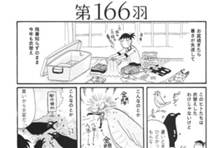 第１６６羽 표지