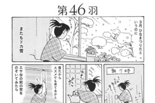 第４６羽 표지