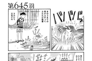 第６４５羽 표지