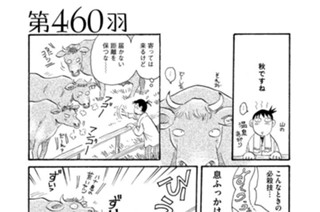 第４６０羽 표지