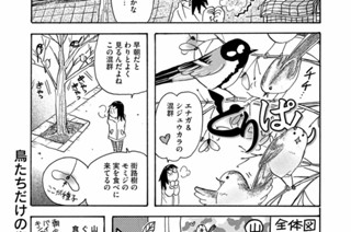 第８６１羽 표지