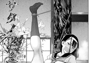 第２１１話 「夏樹劇団」 표지