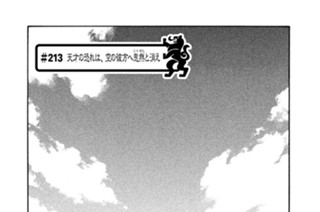 ＃２１３ 天才の恐れは、空の彼方へ忽然（こつぜん）と消え 표지