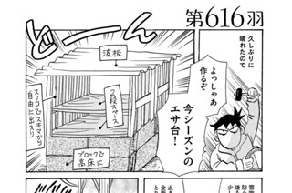 第６１６羽 표지