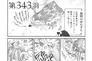 第３４３羽 표지