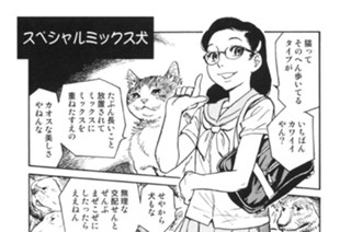 プ〜ねこ（７８） 표지