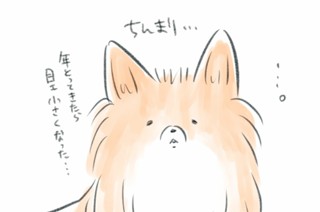 おまけ1 표지