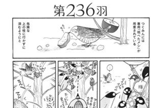 第２３６羽 표지
