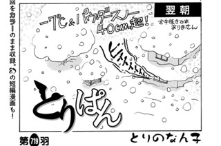 第７１９羽 표지