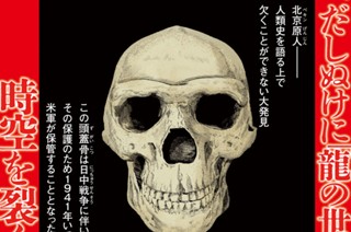ＦＩＬＥ＃１ 龍の勝利① 표지