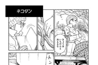 プ〜ねこ（１２９） ネコダン 표지
