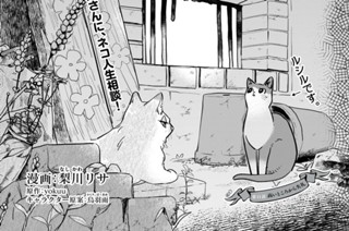 第１１話 高いところから失礼① 표지