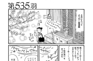 第５３５羽 표지
