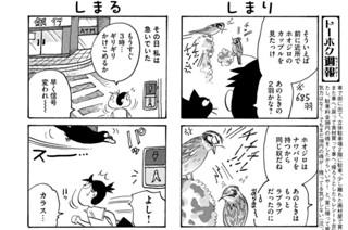 第６９７羽 표지
